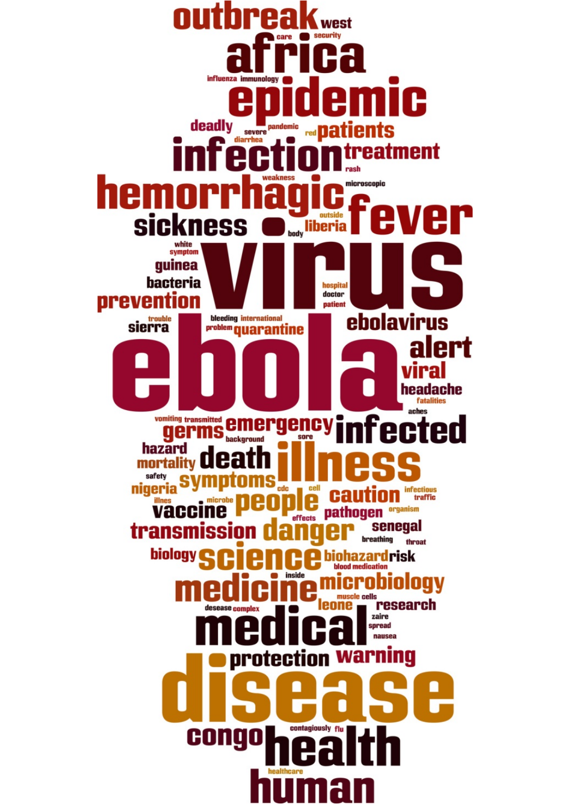 Vorschau Ebola_Erfahrungsbericht Seite 1